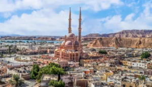 A panoramic view of a Middle Eastern city